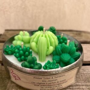 Jardin de cactus dans sa coupelle argentée